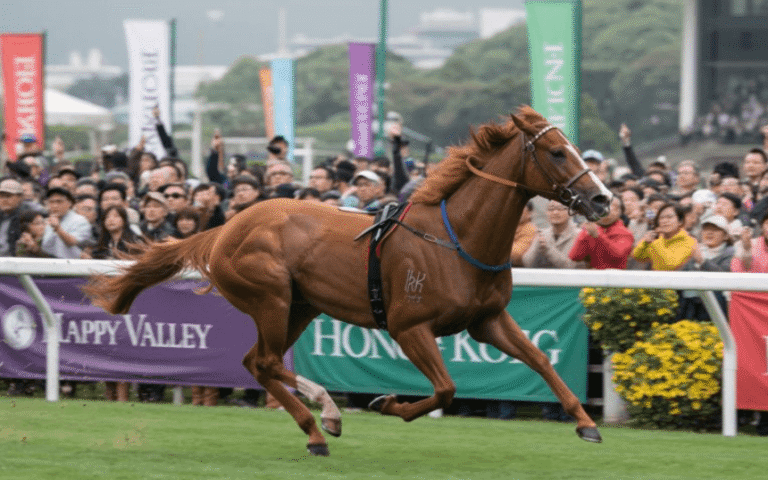 How Horse Racing Is Promoted Globally