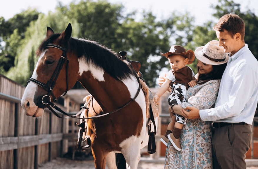 How Horse Racing Statistics Can Guide Your Understanding