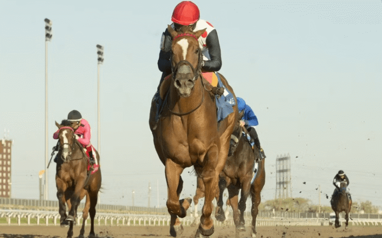 How Horse Racing Tracks Are Built for Maximum Speed