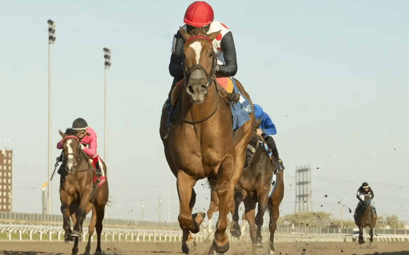 How Horse Racing Tracks Are Built for Maximum Speed