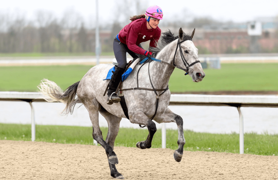 How Horse Racing Tracks Are Designed for Maximum Performance