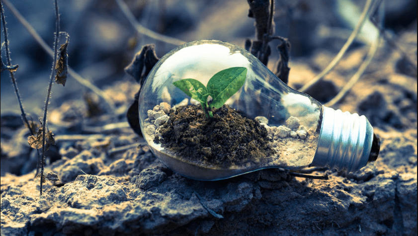 The Intersection of Technology and Sustainability